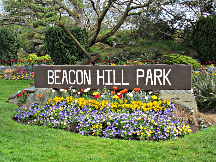 Beacon Hill Park