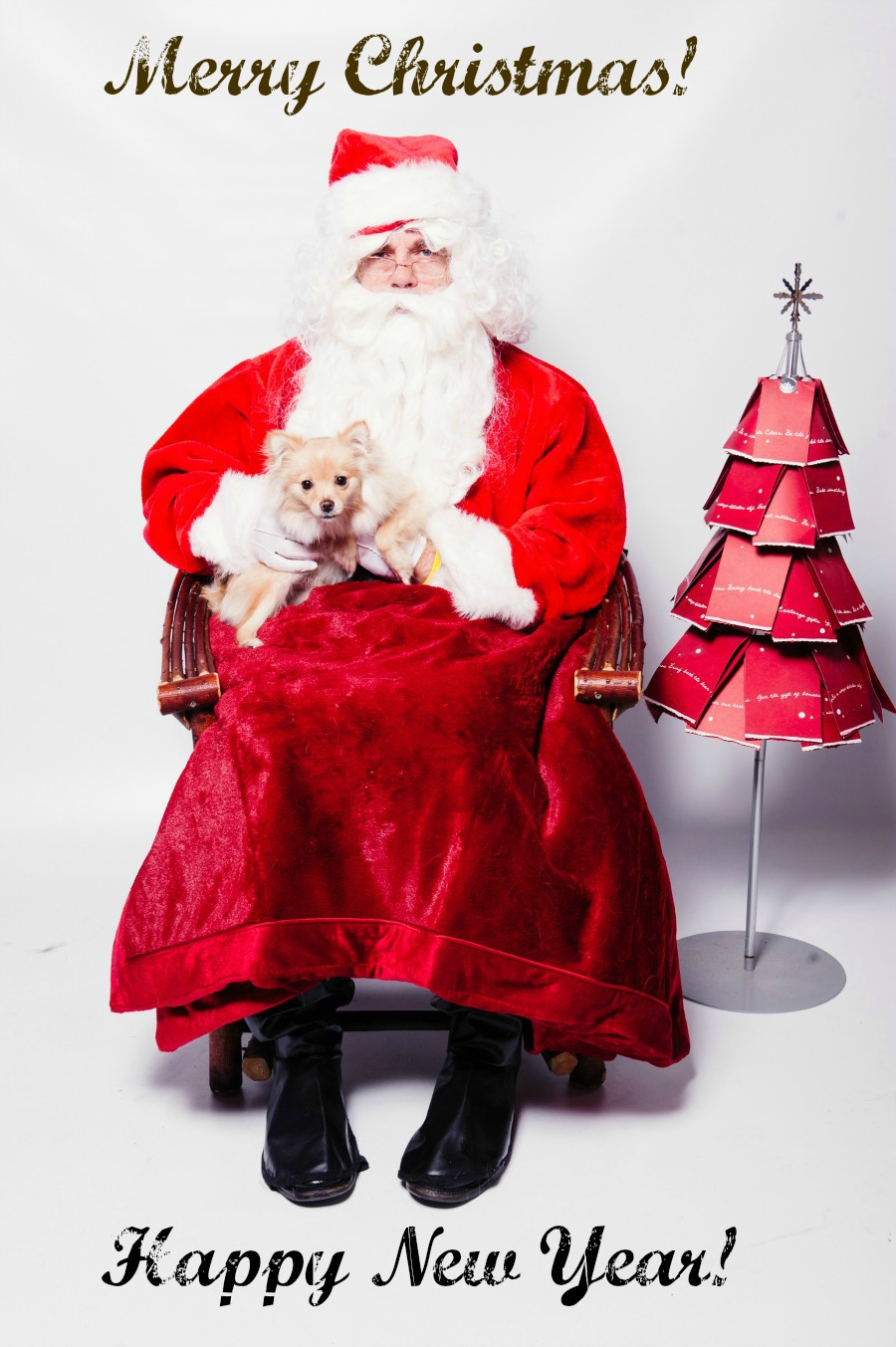фото собаки с Санта Клаусом