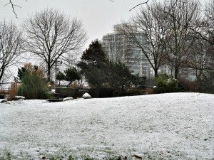 Снег в Ванкувере