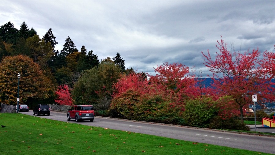 осень в Ванкувере
