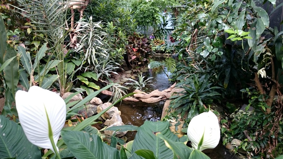 butterfly gardens