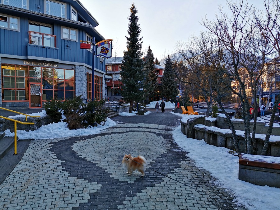 Рождество в Вистлере
